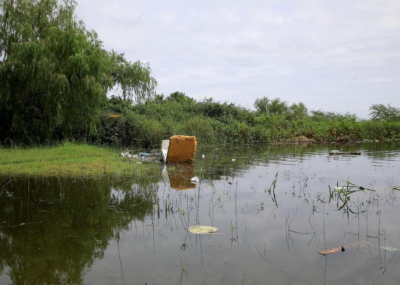 Contaminación en la bahía